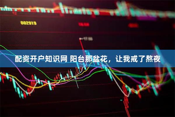 配资开户知识网 阳台那盆花，让我戒了熬夜
